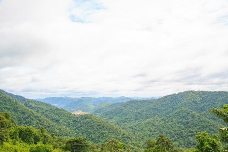 Green meadow in mountain  Composition of nature 