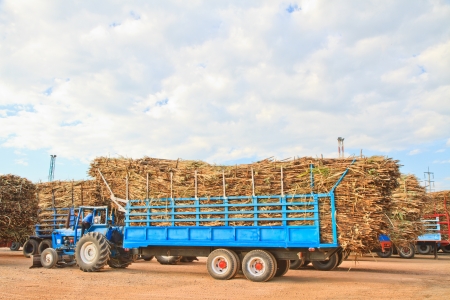 Trucks loaded with sugar cane at  factoryの写真素材