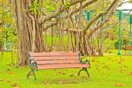 Landscaped Formal Garden  Park  At bangkok Thailandの写真素材