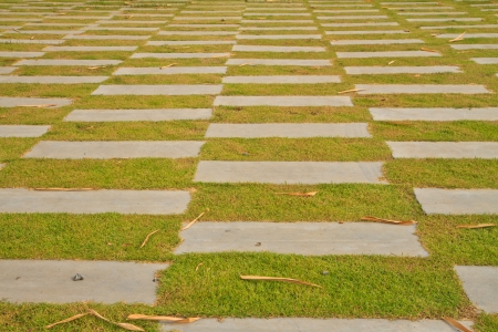 Pathway in Garden with concrete bumps and grassの写真素材