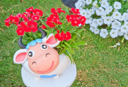 Statue white calf with multicolored flowerbedの写真素材