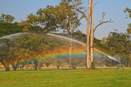 Landscaped Formal Garden  Park  Sprinkler water the gardenの写真素材