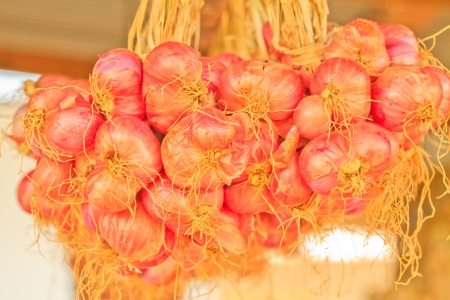 bunch of shallots hanged with clotheslineの写真素材