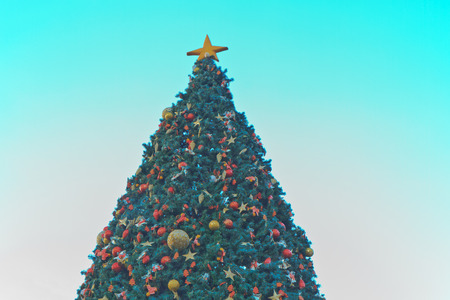 Christmas tree, You can use backgroundの写真素材