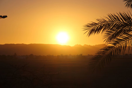 Sunset in Africaの写真素材
