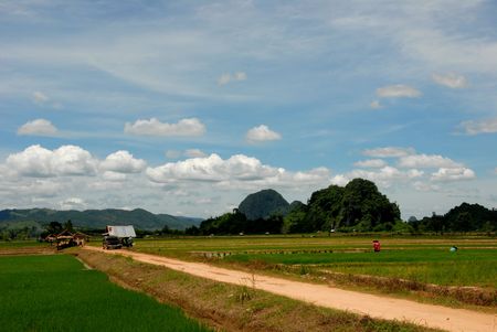 farmer and hill in north Thailandの写真素材