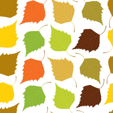 Seamless background with bright different colored birch leaves. Vector illustrationのイラスト素材
