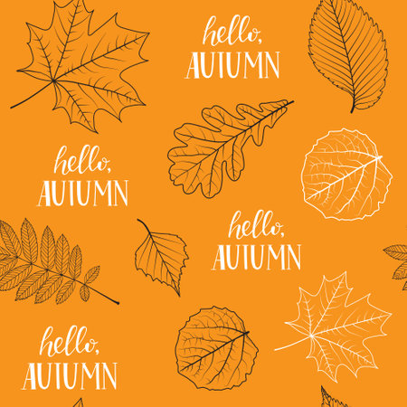 Hello autumn. Seamless pattern with hand drawn leaves. Vector illustrationのイラスト素材