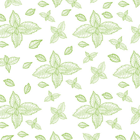 Basil leaves hand drawn background. Herbal engraved style illustrationのイラスト素材