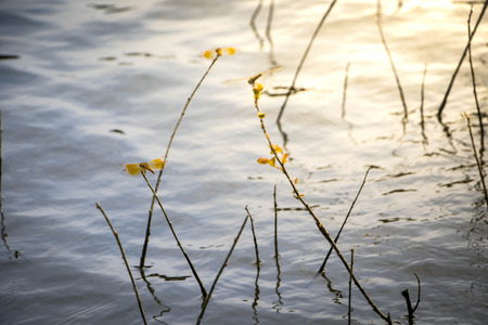 urban abstraction at sunset of the dayの写真素材