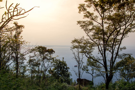 misty morning on the river,の写真素材