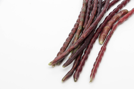 Fresh yardlong red bean on a white background , Vigna unguiculata subsp. Sesquipedalisの写真素材