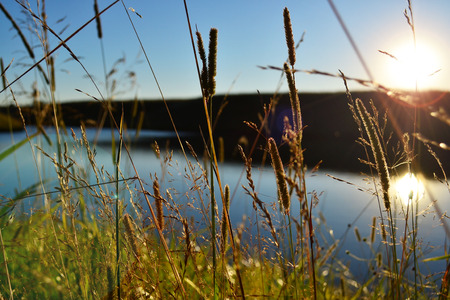 Sunset in the fieldの写真素材