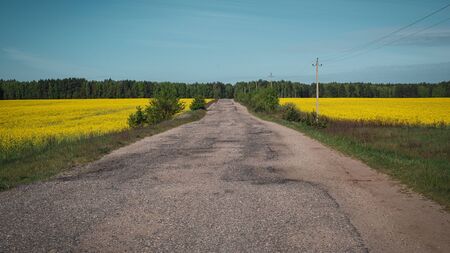 Old asphalt road in the field with yellow flowers. Spring Belarusian landscape with bright blue sky.の写真素材