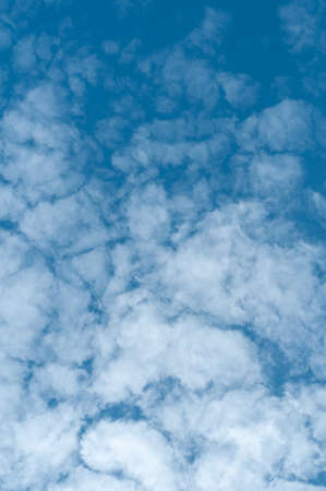 Bright blue sky with white fluffy clouds and bright sunlight.
