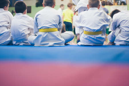 Children in karate training. Figures in white kimano on a colored tatami background. Copy-space.の写真素材