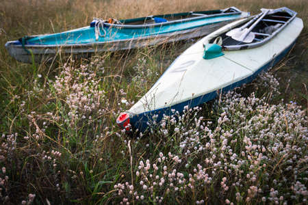 Early morning at the tourist camp. Kayaks on a flowering meadow before the hike.の写真素材