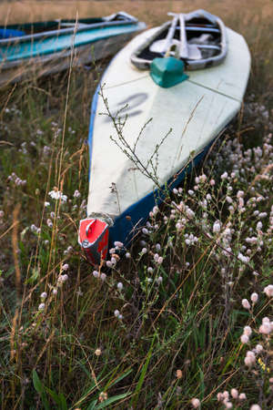 Early morning at the tourist camp. Kayaks on a flowering meadow before the hike.の写真素材
