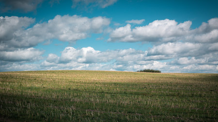 Sunny summer landscape. Agricultural hilly field after harvest with passing white clouds in the blue...