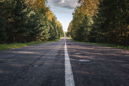Asphalt road going into the distance through the forest with the sun breaking through the trees.の写真素材
