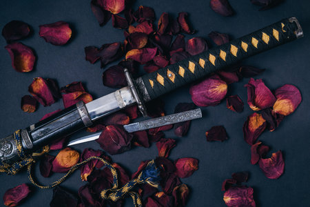 Katana sword on a dark background with red rose petals.の写真素材