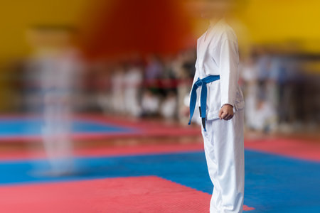 Blurred colored background with silhouettes of an athlete demonstrating technique.の写真素材