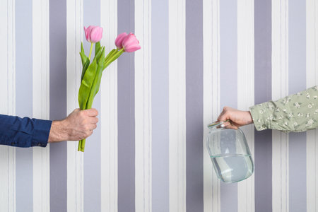 Background for a holiday card. A hand with a bouquet of pink tulip flowers and a hand with a jar of...