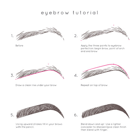 Eyebrow Tutorial. How to make up eyebrowのイラスト素材