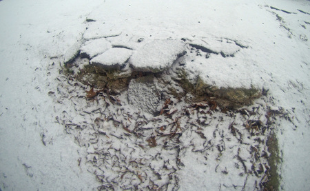 Ruined steps of the stairs. Cracks on the stone. Photo of an abandoned building for the...