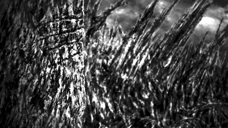 Ruin abandoned house in black and white colors. Horror concept. Scary places.の写真素材