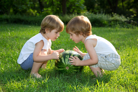 Little Twin Brothers Playing with Watermelon on Green Grass in Summer Parkの写真素材