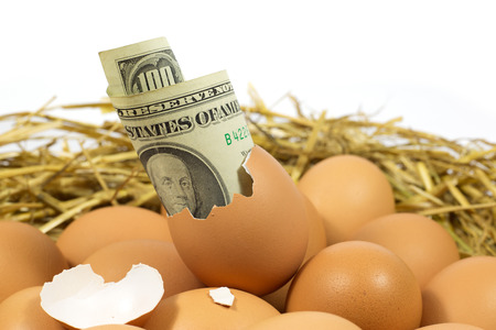 Egg Worth One Hundred American Dollars