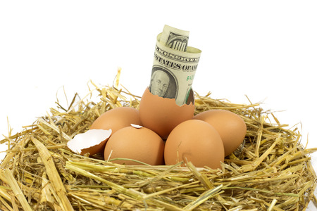 One Hundred American Dollars Bill Coming Out of a Broken Egg in the Nest Against White Backgroundの写真素材