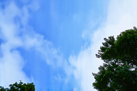 blue sky background with white clouds and green tree in the foreground.