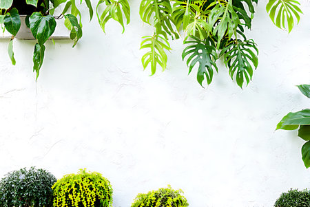 Tropical green leaves on white wall background with copy space.の写真素材