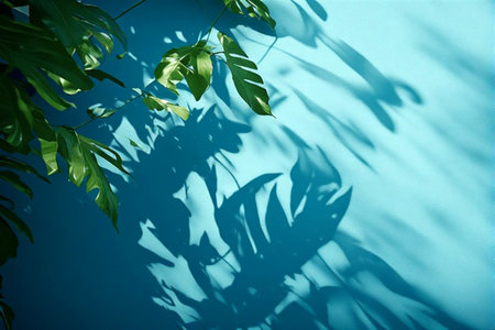 Green leaves on a blue background with a shadow from a palm leaf