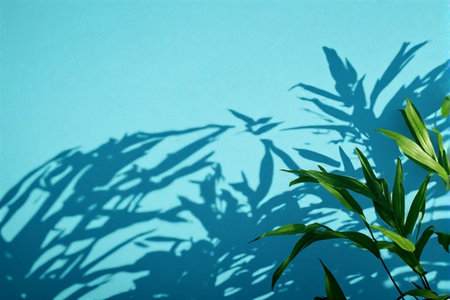 Tropical leaves shadow on blue wall background. Copy space for text.
