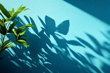 shadow of a plant on a blue wall with light and shadow.
