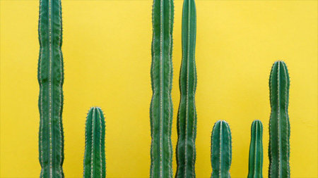 Green cactus on yellow background. Minimal concept. Flat lay.