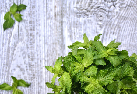 Bunch of the mint on wooden table.Selective focus.の写真素材