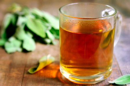 Tea with sage in a glass on rustic background.の写真素材