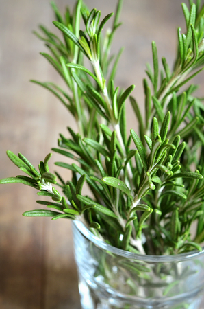 Bunch of rosemary in a glass of water.の写真素材