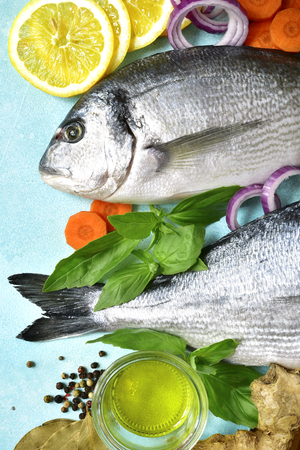 Uncooked organic dorado or sea bream with ingrediets for making on a light blue slate,stone or concrete background.Top view.の写真素材