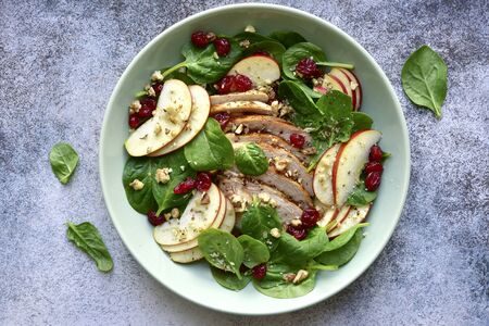 Spinach salad with grilled chicken breast, red apple, dried cranberry and walnuts in a bowl on a light grey slate, stone or concrete background. Top view with copy space.の写真素材