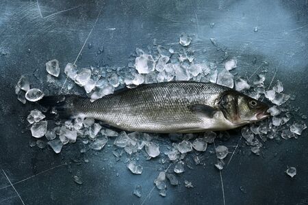 Fresh raw sea bass on an ice cubes on a dark blue slate, stone or concrete background. Top view with copy space.の写真素材