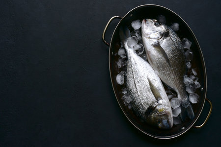 Fresh raw chilled dorado fish in a skillet on a black slate, stone or concrete background. Top view...