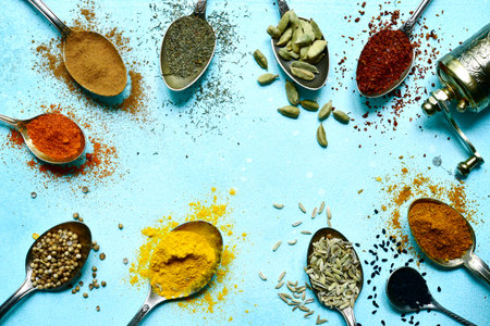 Set of asian spices on a spoons over light blue slate, stone or concrete background. Top view with copy space.の写真素材