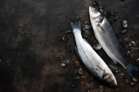 Raw organic sea bass on a dark slate or metal background. Top view with copy space.の写真素材