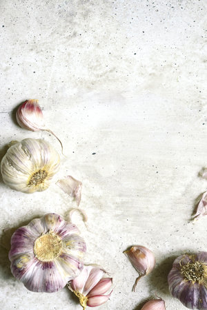 Culinary background with bulbs of garlic on a light slate, stone or concrete table.. Top view with copy space.の写真素材