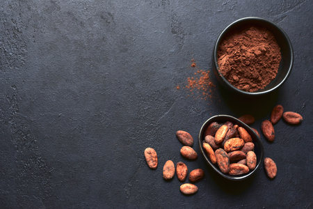 Ingredients for making homemade chocolate on a blue slate, stone or concrete table. Top view with copy space.の写真素材